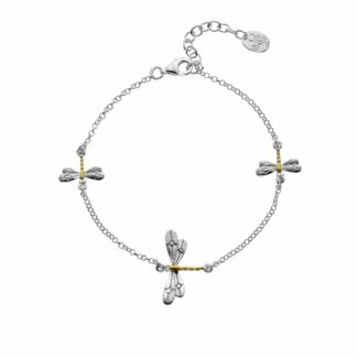 P1678 dragonfly blet