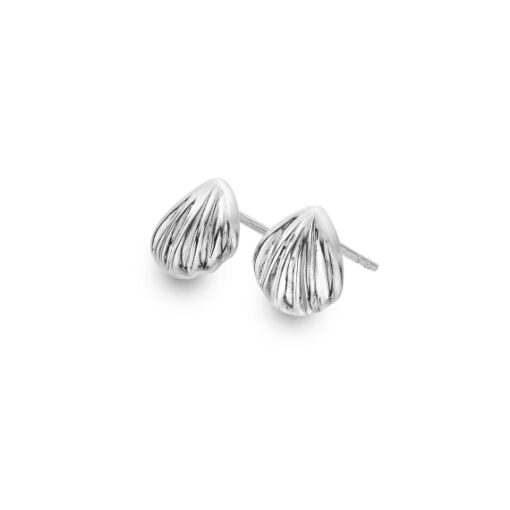 silver shell studs