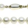 white freshwater cultured pearl bracelet knotted throughout on a silver bead clasp cost £14.50 preview e1523875273437