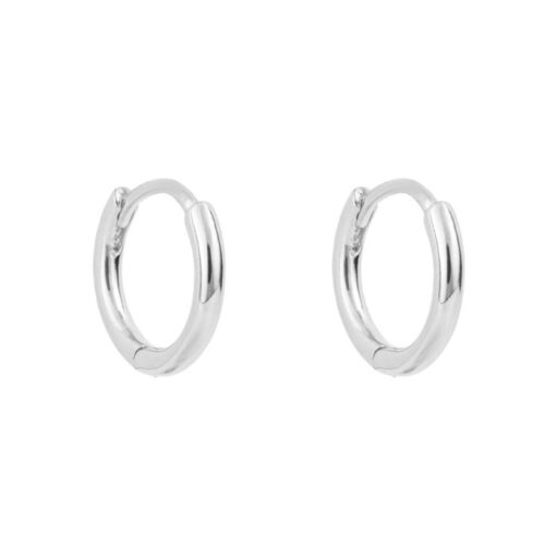 silver small hinged hoops